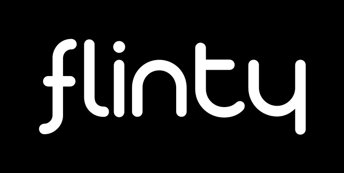 Logo Flinty